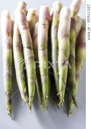 春から初夏にかけて旬の根曲り竹 姫竹 山菜 春から初夏にかけて旬の根曲り竹 姫竹 山菜 90441387