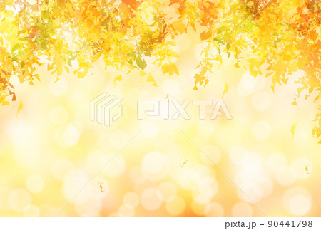 紅葉　秋　葉　背景 90441798