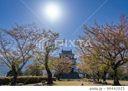 愛媛県宇和島市　宇和島城の朝の天守 90442025