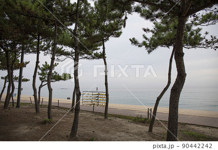 海 夏 ビーチ 90442242