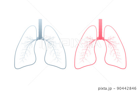 Lungs, great design for any purposes. Cartoon illustration. Simple vector illustration Lungs, great design for any purposes. Cartoon illustration. Simple vector illustration 90442846