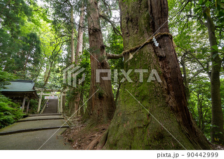 【石川県】 白山比咩神社 【石川県】 白山比咩神社 90442999