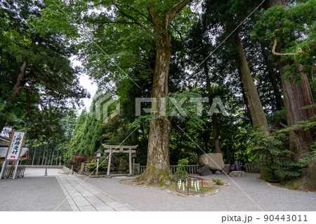【石川県】　白山比咩神社 90443011