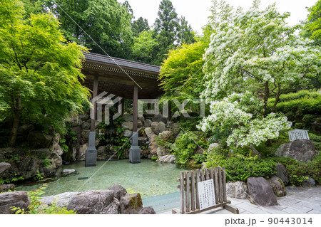 【石川県】 白山比咩神社 【石川県】 白山比咩神社 90443014