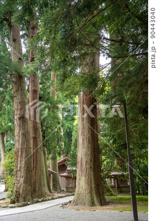 【石川県】 白山比咩神社 【石川県】 白山比咩神社 90443040