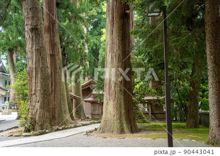 【石川県】 白山比咩神社 【石川県】 白山比咩神社 90443041