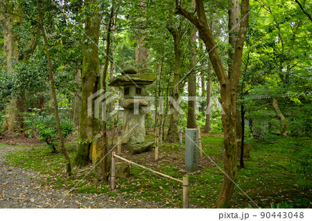 【石川県】 白山比咩神社 【石川県】 白山比咩神社 90443048