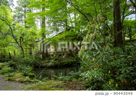 【石川県】 白山比咩神社 【石川県】 白山比咩神社 90443049
