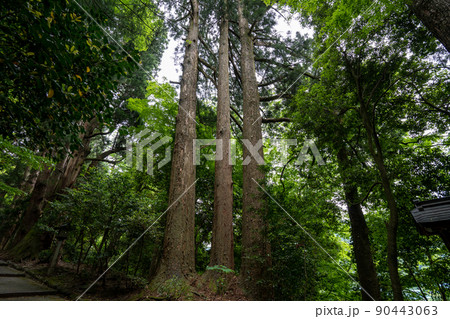 【石川県】 白山比咩神社 【石川県】 白山比咩神社 90443063