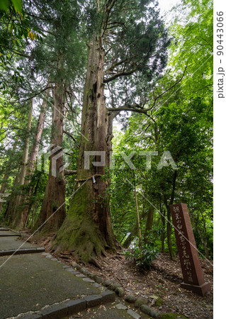 【石川県】 白山比咩神社 【石川県】 白山比咩神社 90443066