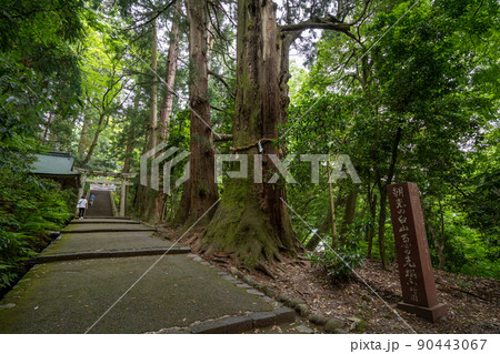 【石川県】 白山比咩神社 【石川県】 白山比咩神社 90443067