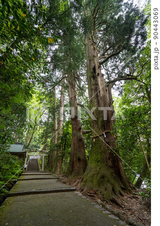 【石川県】 白山比咩神社 【石川県】 白山比咩神社 90443069