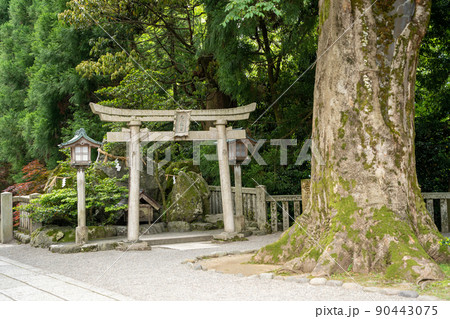 【石川県】 白山比咩神社 【石川県】 白山比咩神社 90443075