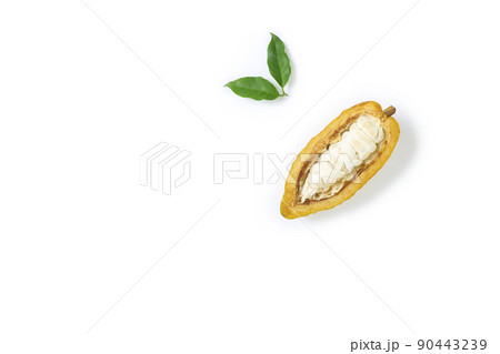 Fresh cocoa fruits half sliced and green leaf 90443239