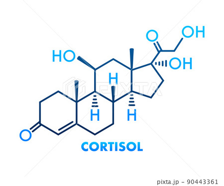 Stress hormone, cortisol chemical formula. Icon for medical design. Vector illustration Stress hormone, cortisol chemical formula. Icon for medical design. Vector illustration 90443361