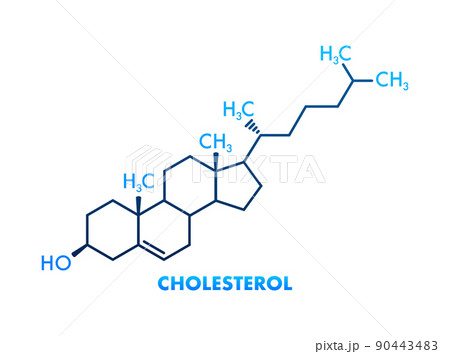 Cholesterol formula on white background. 3d cholesterol formula 90443483