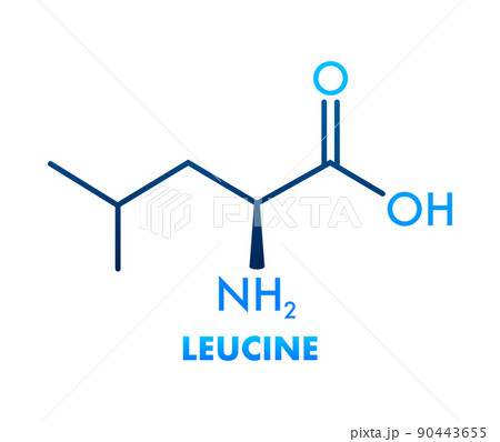 Icon with leucine formula. Essential Amino Acid molecular formula 90443655