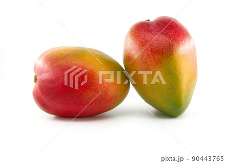 Multicolored mango fruits isolated on a white 90443765