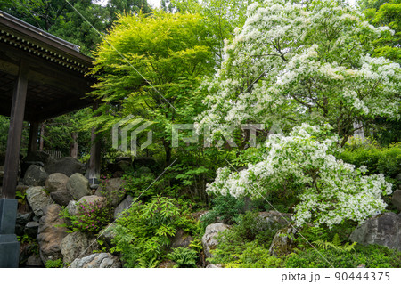 【石川県】　白山比咩神社 90444375