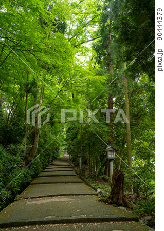 【石川県】　白山比咩神社 90444379