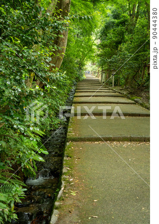 【石川県】 白山比咩神社 【石川県】 白山比咩神社 90444380