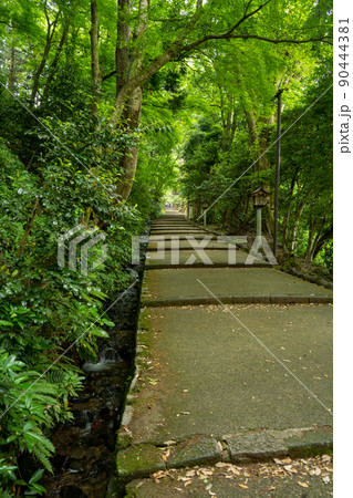 【石川県】　白山比咩神社 90444381