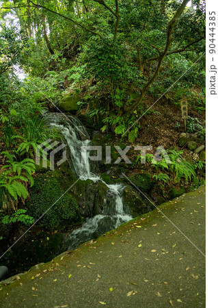 【石川県】 白山比咩神社 【石川県】 白山比咩神社 90444385