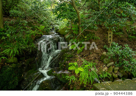 【石川県】 白山比咩神社 【石川県】 白山比咩神社 90444386
