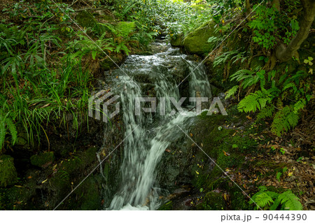 【石川県】　白山比咩神社 90444390