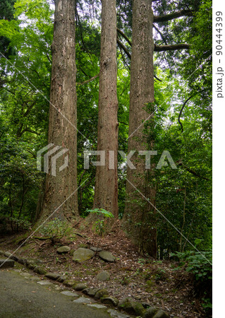 【石川県】　白山比咩神社 90444399