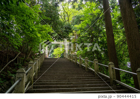【石川県】 白山比咩神社 【石川県】 白山比咩神社 90444415