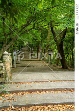 【石川県】 白山比咩神社 【石川県】 白山比咩神社 90444482