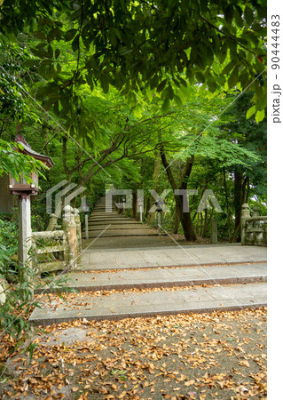 【石川県】 白山比咩神社 【石川県】 白山比咩神社 90444483