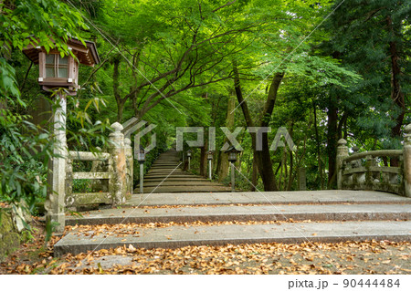 【石川県】 白山比咩神社 【石川県】 白山比咩神社 90444484