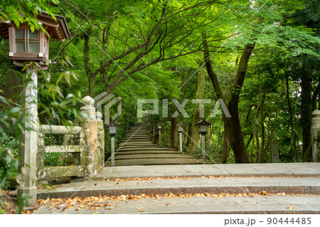 【石川県】 白山比咩神社 【石川県】 白山比咩神社 90444485