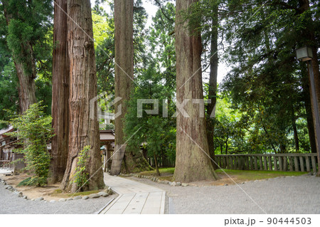【石川県】 白山比咩神社 【石川県】 白山比咩神社 90444503