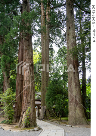 【石川県】　白山比咩神社 90444504
