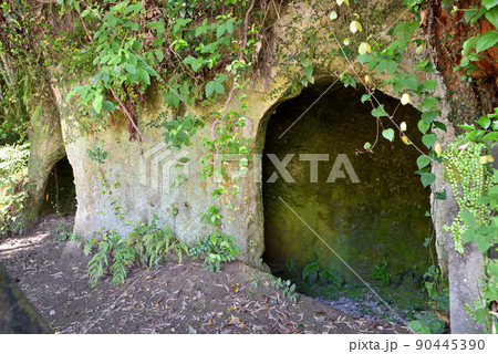 鹿児島市城山の西郷隆盛洞窟 90445390