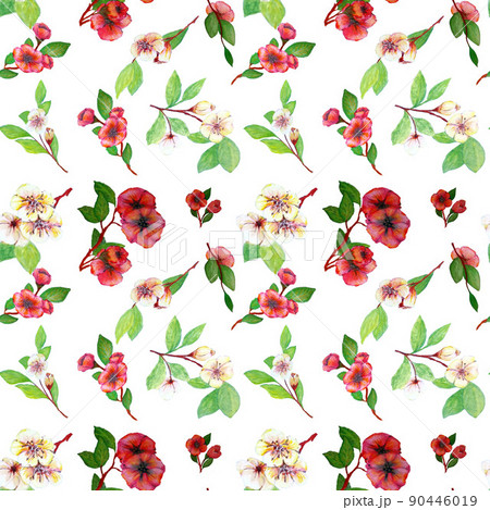 Seamless pattern with flowers on a white background 90446019