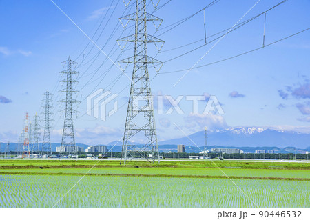 鉄塔　水田　送電線 90446532