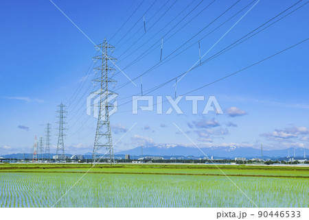 鉄塔　水田　送電線 90446533