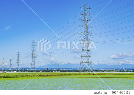 鉄塔　水田　送電線 90446535