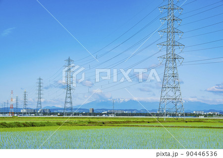 鉄塔 水田 送電線 鉄塔 水田 送電線 90446536
