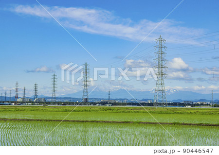 鉄塔 水田 送電線 鉄塔 水田 送電線 90446547