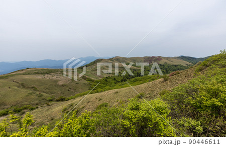 大川嶺(愛媛県久万高原町、内子町) 大川嶺(愛媛県久万高原町、内子町) 90446611