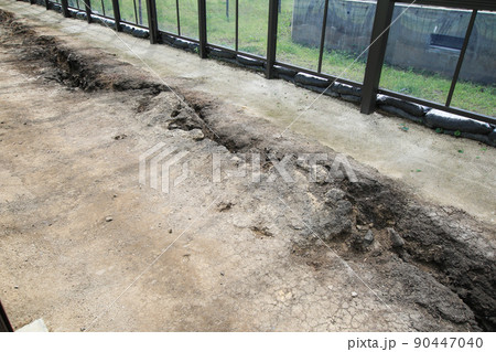 旧東海大学阿蘇キャンパス 旧東海大学阿蘇キャンパス 90447040