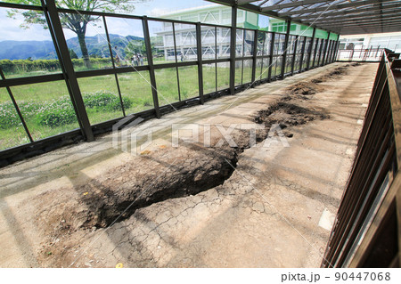 旧東海大学阿蘇キャンパス 90447068