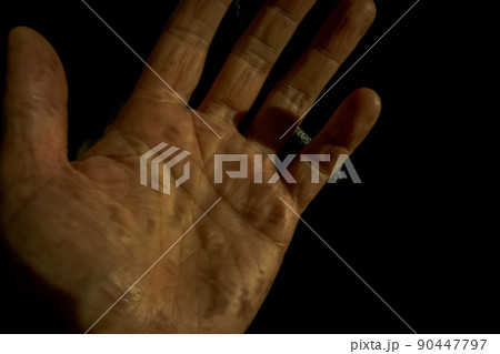 various 90447797