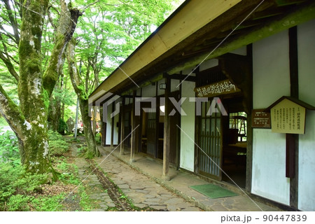 箱根町　箱根旧街道休憩所と新緑 90447839