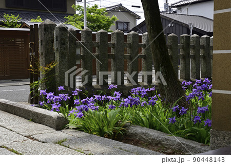 上御霊神社（御靈神社）一初（鳶尾） 90448143